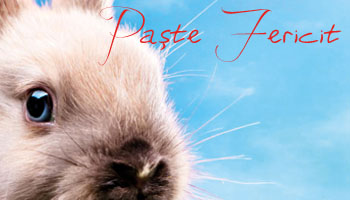 Paste Fericit