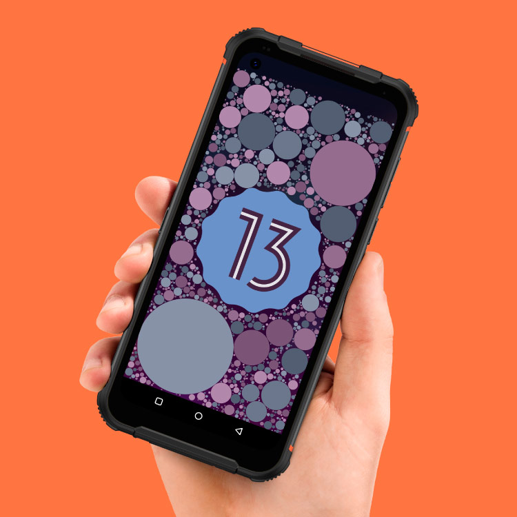 Android 13 Telefon cu Android 13