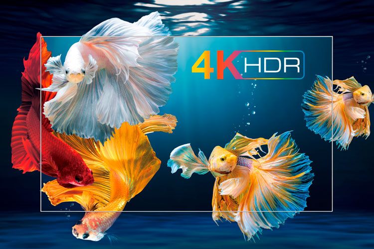 4K HDR : contrast imbunatatit, culori si detalii uimitoare