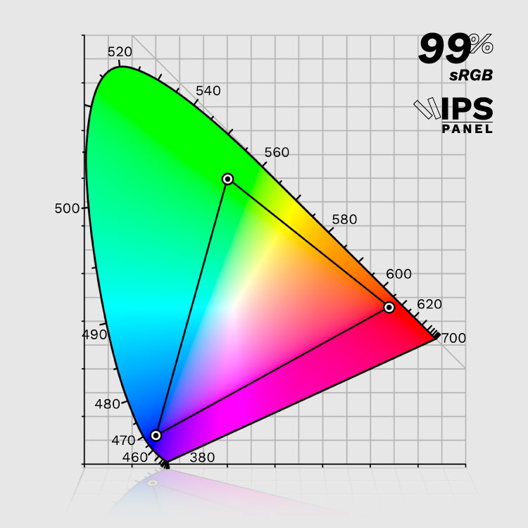 Reproducere perfecta a culorilor Monitor SRGB